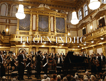 Tablet Screenshot of eugenindjic.com